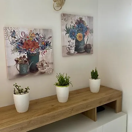 Sa Dommedda Casa de Férias Loiri Porto San Paolo